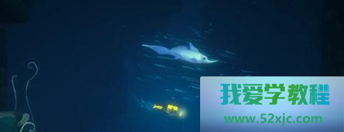 潜水员戴夫三齿鲨头位置在哪-潜水员戴夫三齿鲨头位置分享
